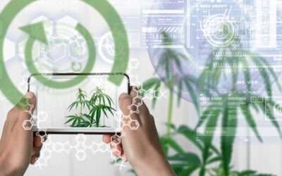 Portable Cannabis Testing Shines Light On Murky Practices