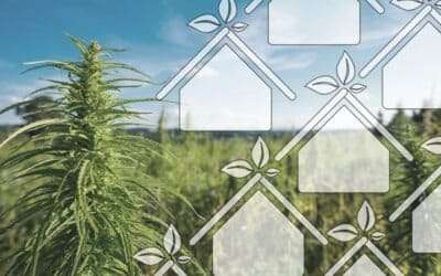 Cutting Edge Green Building, Hempcrete Masonry Just Got Better