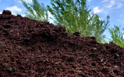 Super Soils Save Money and See Super Harvests