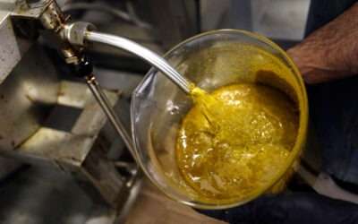 DrainDroyd Helps Cannabis Extraction Shift Away from Hazardous Glass