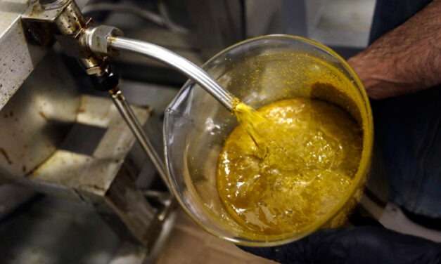 DrainDroyd Helps Cannabis Extraction Shift Away from Hazardous Glass
