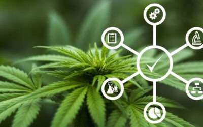Quality Control in Cannabis and Hemp