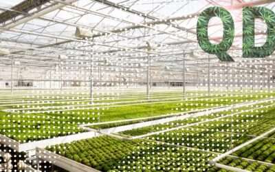The Future of Greenhouse Growing is Here: Quantum Dots