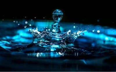 Advanced Water Purification Systems for Professional Cannabis Cultivation