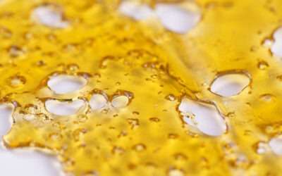 Unveiling the Controversial Color Remediation Column (CRC) Technology in BHO Extraction