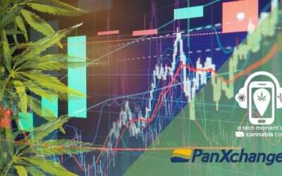 Hemp Market Reports with PanXchange