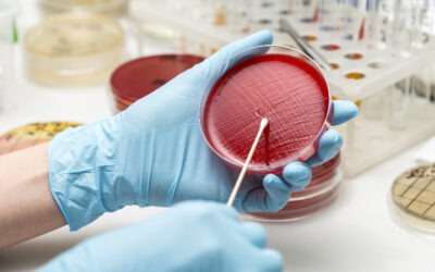 Endophytic Fungi: The Invisible Mold Within Cannabis