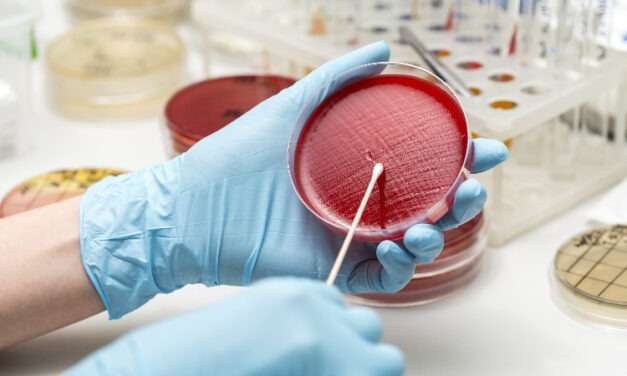 Endophytic Fungi: The Invisible Mold Within Cannabis