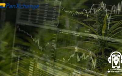 PanXchange Hemp Market Report Podcast