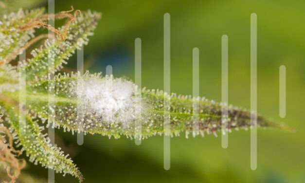 Radio Frequency: Kills Microbial Life, Keeps Terpenes, and THC Intact