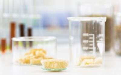 Mastering Terpene Extraction: At Home and in the Lab
