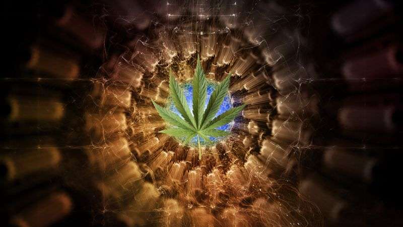what is the entourage effect? leaf in a vortex, representation