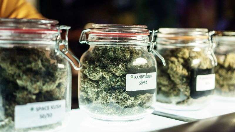 cannabis digital marketing for dispensaries, jars of weed