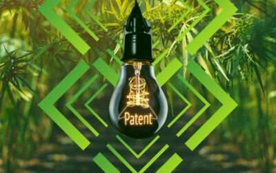 A New Era of Plant Variety Protection: The PVPO, Plant Patents and More
