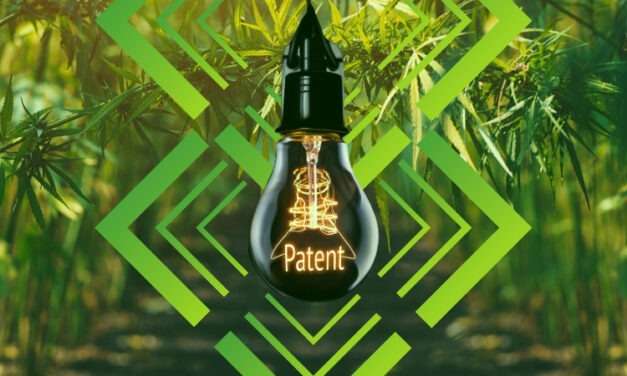A New Era of Plant Variety Protection: The PVPO, Plant Patents and More