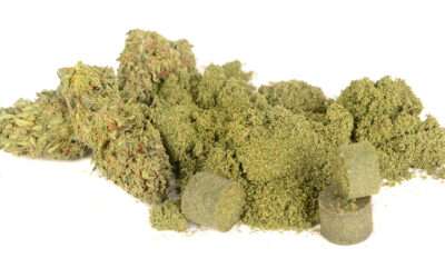 DIY Hash Making Processes and New Commercial Equipment Solutions