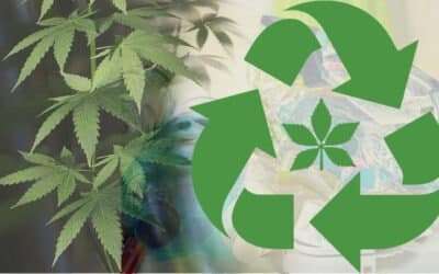 Hemp Plastics: A Look at the Pros and Cons