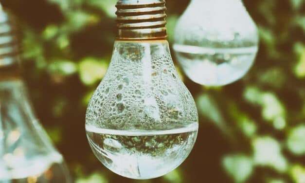 Effective Water Conservation Techniques for Cannabis:  Sustainable Strategies for Indoor and Outdoor Cultivatio