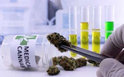New Federal Initiative Promises Better Quality Control in Cannabis Testing
