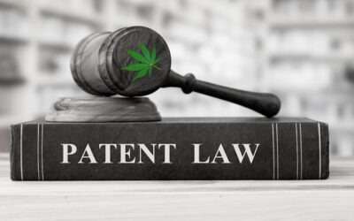 Plant Patents & Ethical Questions Posed by Cannabis Proprietary Protections in 2020