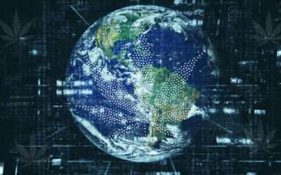 Cultivating New Cannabis Tech: AgTech Investment Program