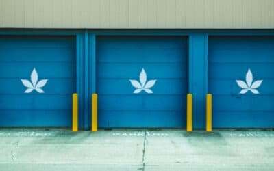 Scalable and Cost-Effective Hemp Storage Options