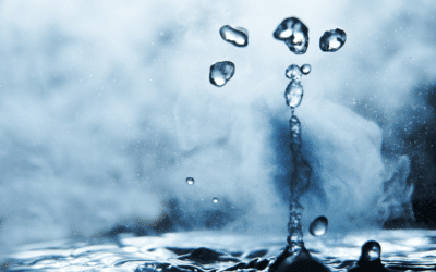 Pressurized Hot Water Extraction
