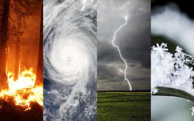 Climate Change Impacts Cannabis