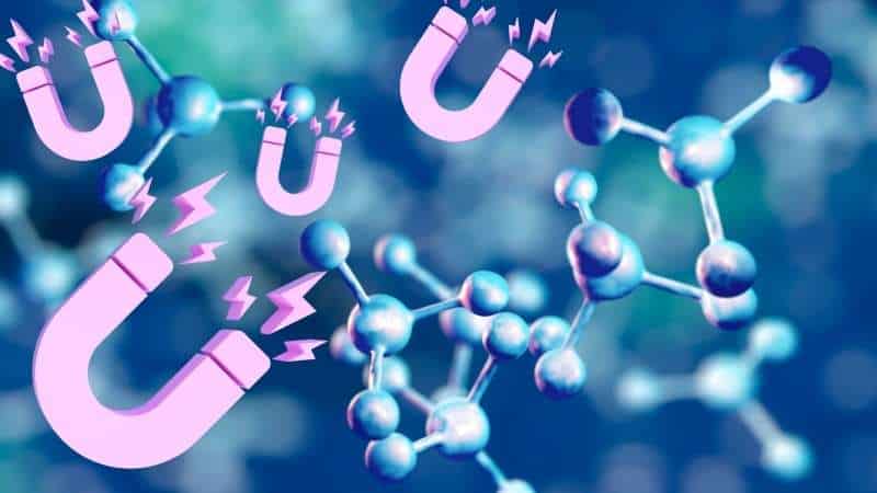 Nuclear Magnetic Resonance for Potency, Profile, and Fingerprinting