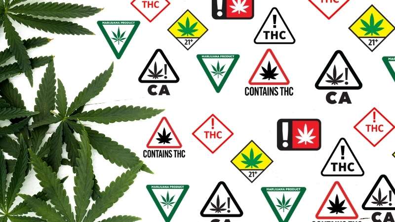 The Cult of Potency: The Erroneous Pursuit of THC