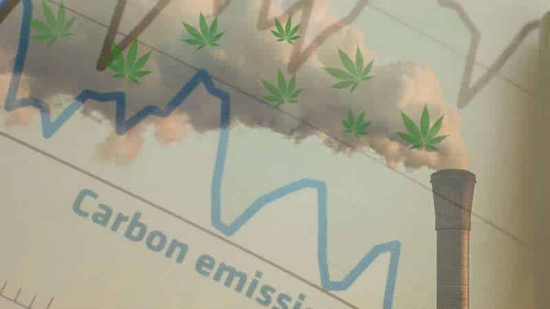 The Cost of Mass Production: Cannabis Carbon Footprint