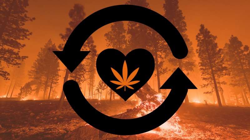 BigMike Straumeitis Fighting Fire: $500k Emergency Help for West Coast Cannabis Farmers