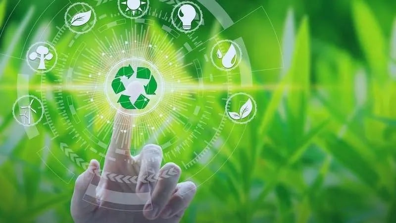 cannabis cultivation