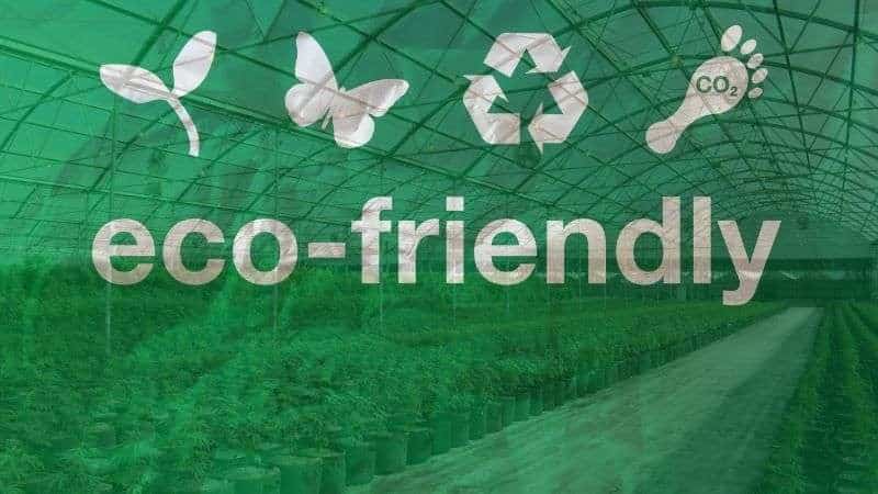 Three Eco-Friendly Methods of Cannabis Cultivation