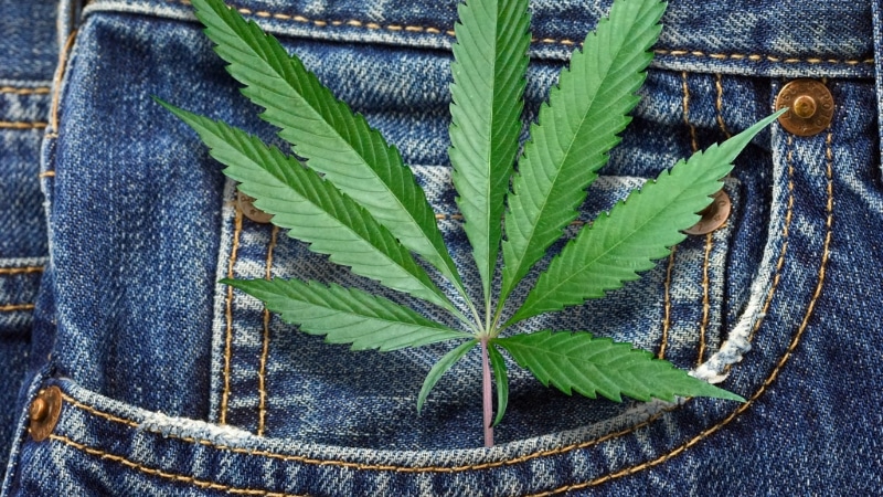 hemp conditioning
