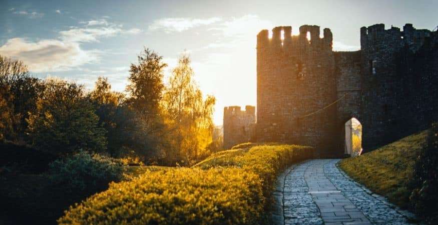 cannabis_castles.jpg