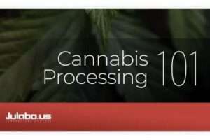 cannabis processing 101
