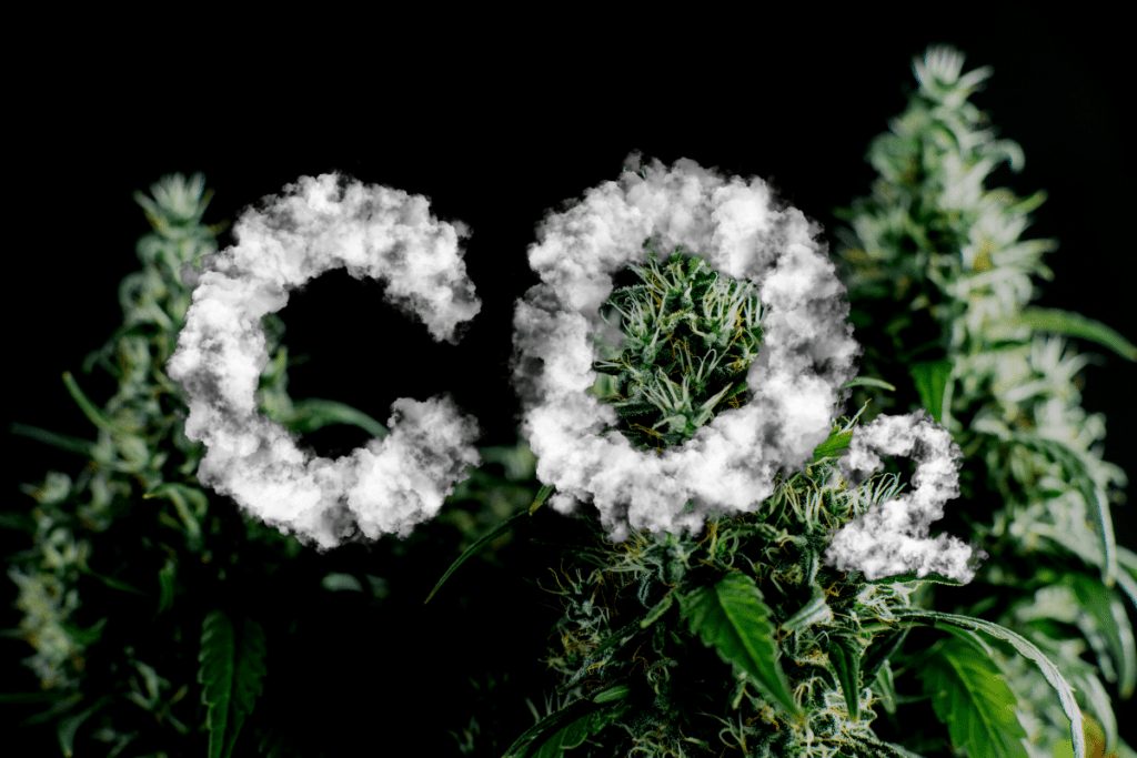 cannabis CO2 Safety, co2 emissions
