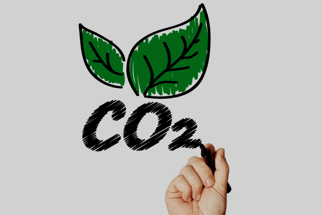 implementing CO2 safety