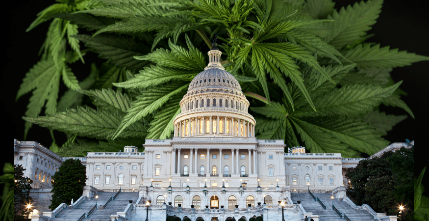 In-Depth Review of Promising 2022 Cannabis Legislation