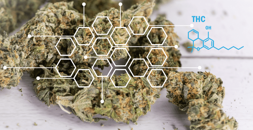 The Inflated THC Content Crisis Plaguing California Cannabis