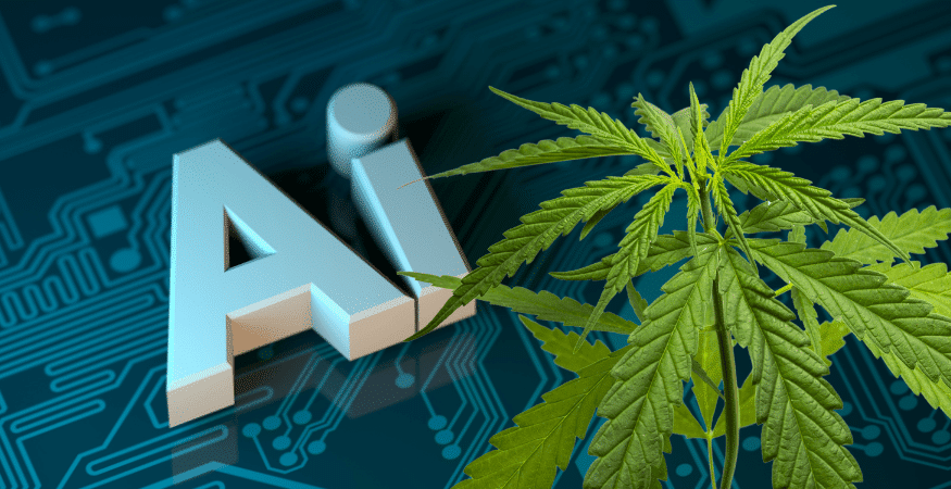 Ai for cannabis