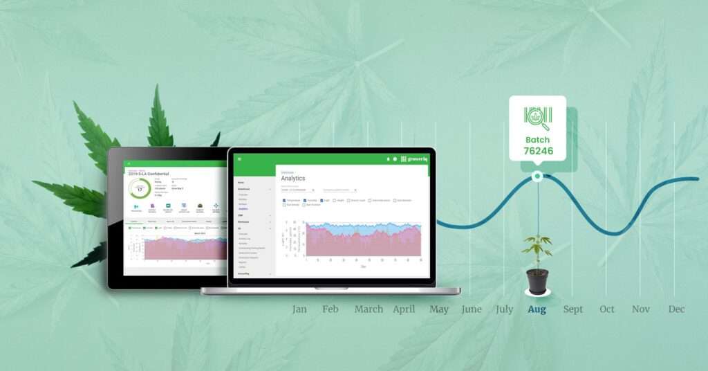 cannabis POS software