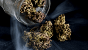 cannabis drying solutions