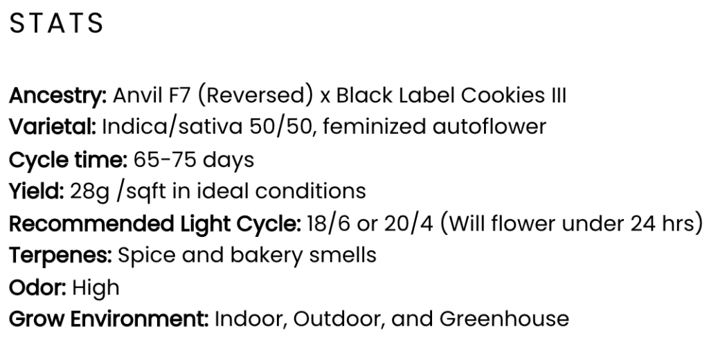 Black Strap Cannabis details