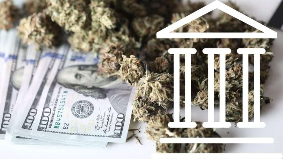 Cannabis Banking Solution Offers 1st-Class Financial Support - Cannabis ...