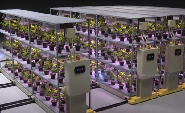 High Density Cultivation System™
