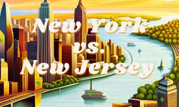 A Fight Inside the Ring: NY vs. NJ – A 2024 Cannabis Industry Showdown