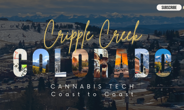 Gold, Ghosts, and Greenery: High Stakes Leafery Opens in Cripple Creek (Episode #1)