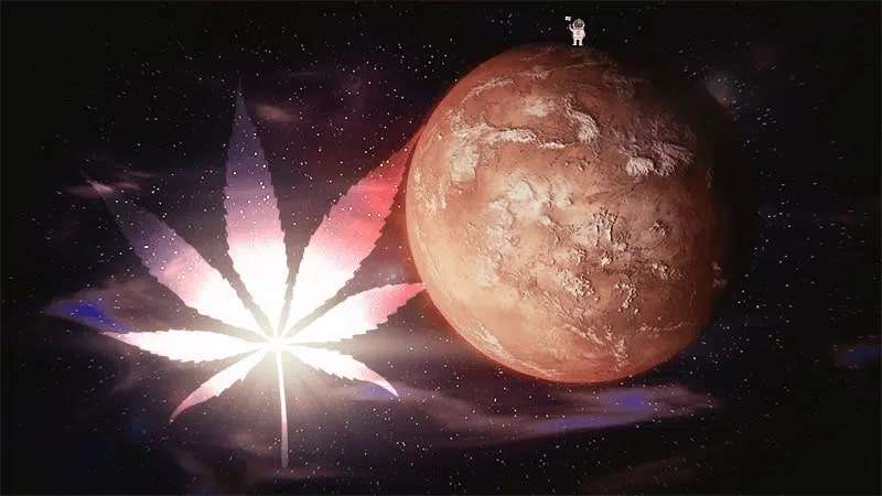intelligent automation for consistent cannabis.